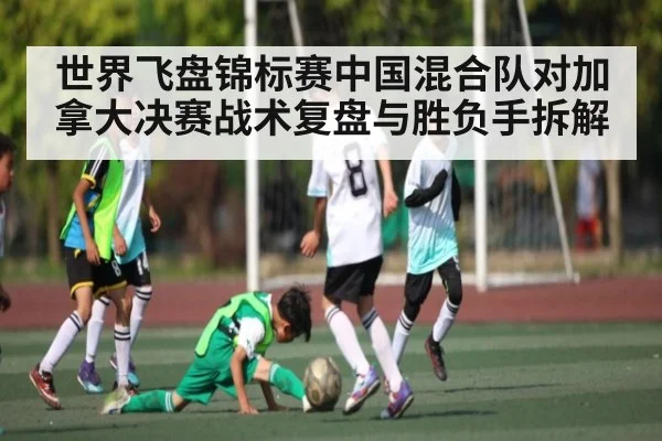 世界飞盘锦标赛中国混合队对加拿大决赛战术复盘与胜负手拆解